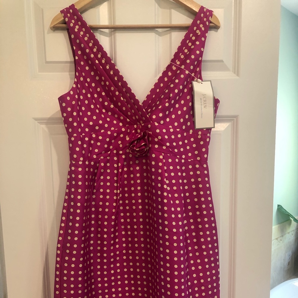JCrew Knee Length Special Ocassion Dress
